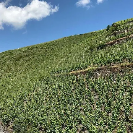 Ambiente Weinstein Am Markt * Bernkastel-Kues