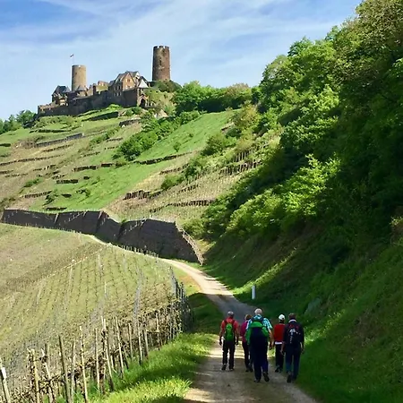Ambiente Weinstein Am Markt Apartment