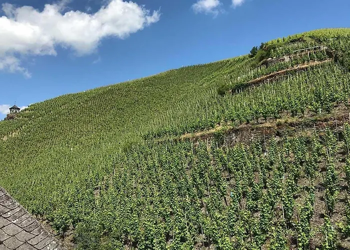 Ambiente Weinstein Am Markt * Bernkastel-Kues